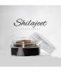 Shopeasy 100% Organic Pure And Fresh Black Gold Himalayan Shilajit