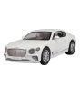 iShopping - ShopEasy Continental GT Alloy Die-casting Toy Car