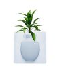 iShopping - The Emart Sticky Wall Vase Flower Pot