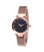 iShopping - The Rubian Store Ladies Magnetic Watch Golden