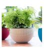 iShopping - VIP Deals Hanging Flower Pot Plastic With Hanging Chain - White