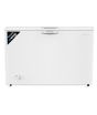 iShopping - Waves Regular Series Single Door Deep Freezer 9 cu ft (WDF-309)