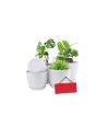 iShopping - Araaish Decorative Flower Pots  With Drainage Without Plants - Pack Of 5