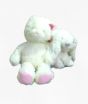 ZT Fashions Stuffed Bear Set of 2