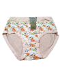 iShopping - Zehra Collection Fancy Stretchable Panty For Women