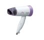 iShopping - Panasonic Hair Dryer (EH-ND52)